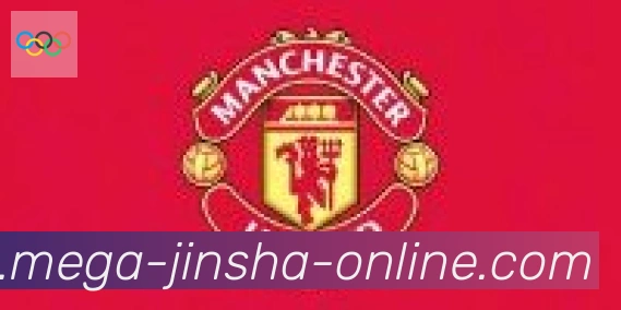 金沙国际合作伙伴